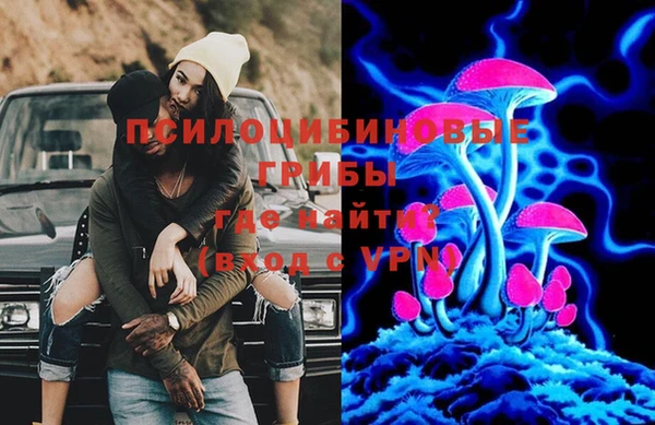 мяу мяу мука Елизово