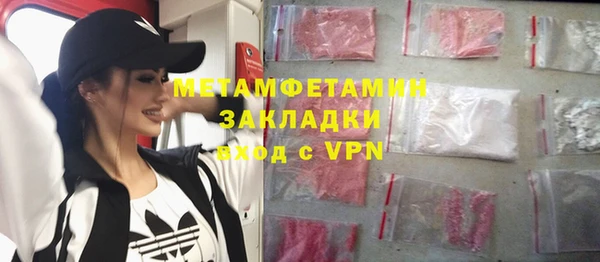 трава Ельня