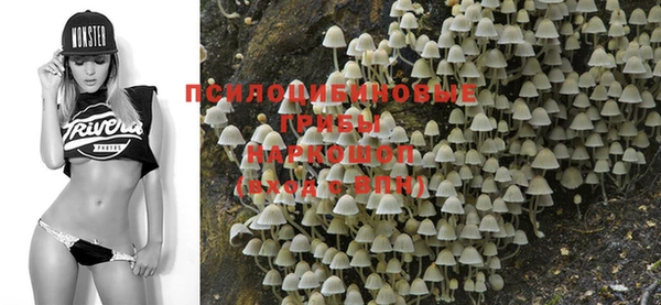 трава Ельня