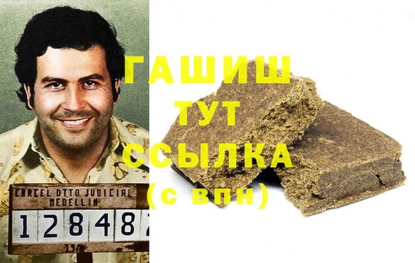 трава Ельня
