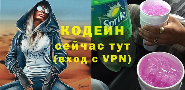 трава Ельня
