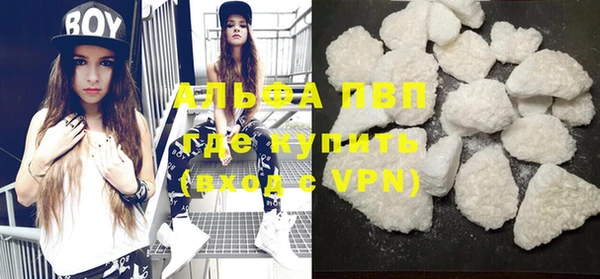 трава Ельня