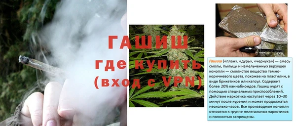 трава Ельня