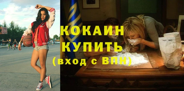 мяу мяу мука Елизово