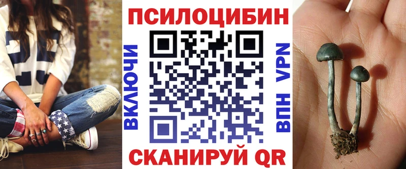 MEGA зеркало  Каменногорск  Псилоцибиновые грибы мицелий 